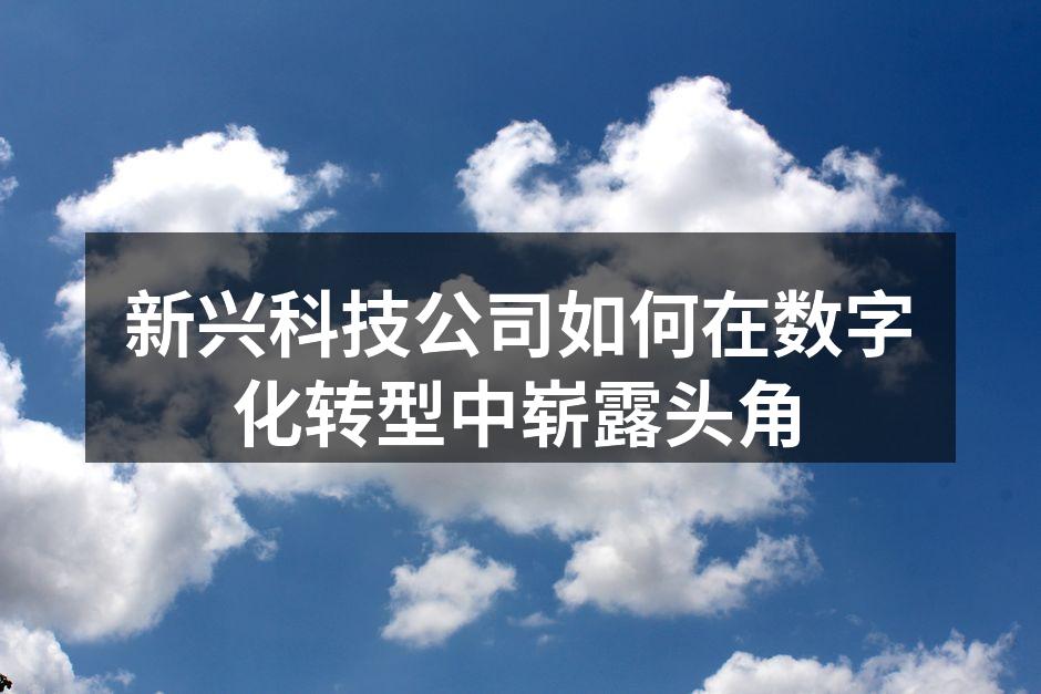 新兴科技公司如何在数字化转型中崭露头角