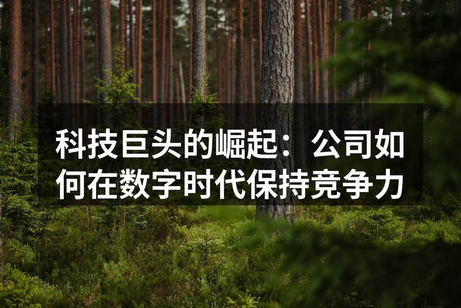 科技巨头的崛起：公司如何在数字时代保持竞争力