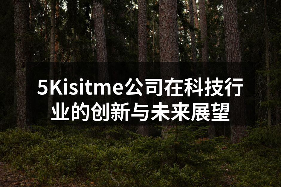 5Kisitme公司在科技行业的创新与未来展望